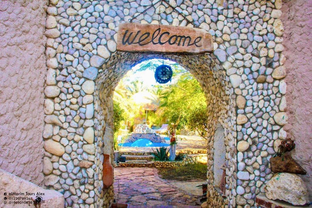 Dream Lodge Siwa Siwa Oasis Exterior foto