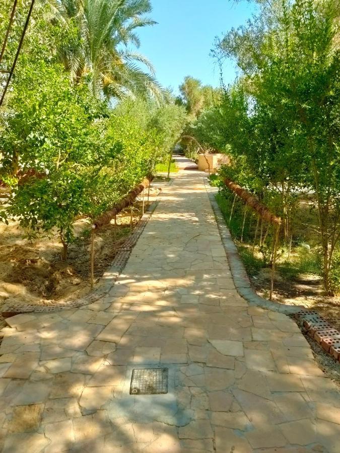 Dream Lodge Siwa Siwa Oasis Exterior foto